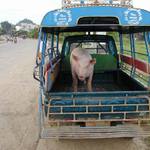 Laos / Lung Prabang /NoComment